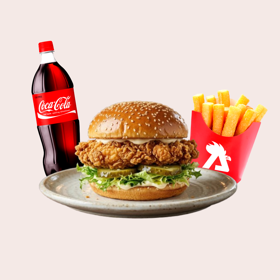 Damn Burguer Combo