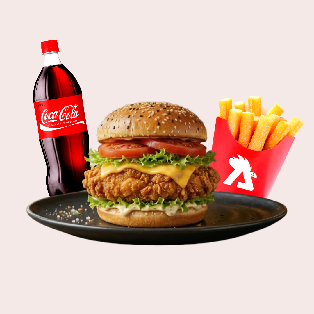 Damn Burguer Especial Combo